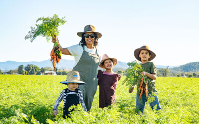 Across the Region: Winter Harvest Festival