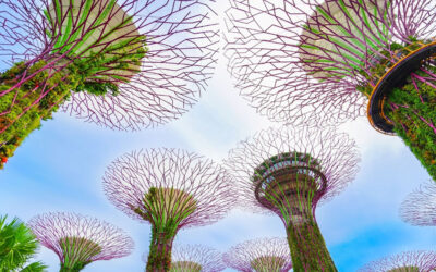 A Parent’s Guide to Singapore with Kids
