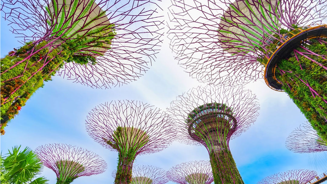 A Parent’s Guide to Singapore with Kids