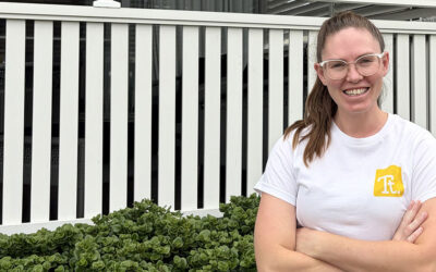 Affordable tutoring launches on the Sunshine Coast