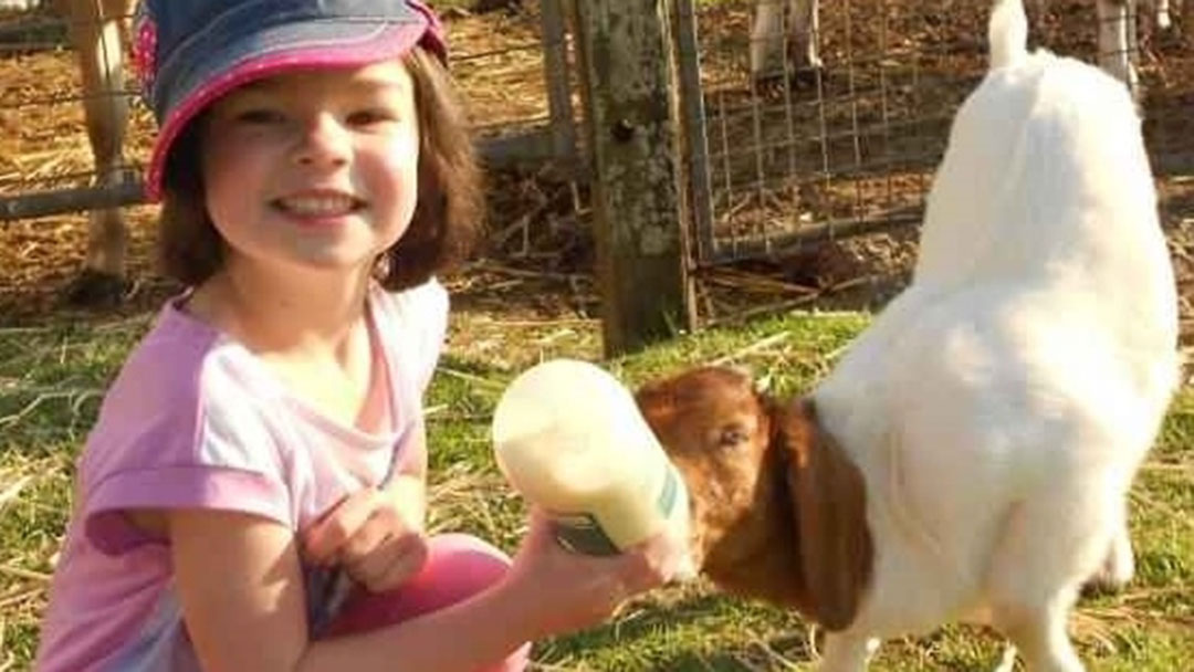 The Sunshine Coast farmstay reconnecting kids with nature