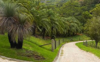 Heritage Acres: Open Day
