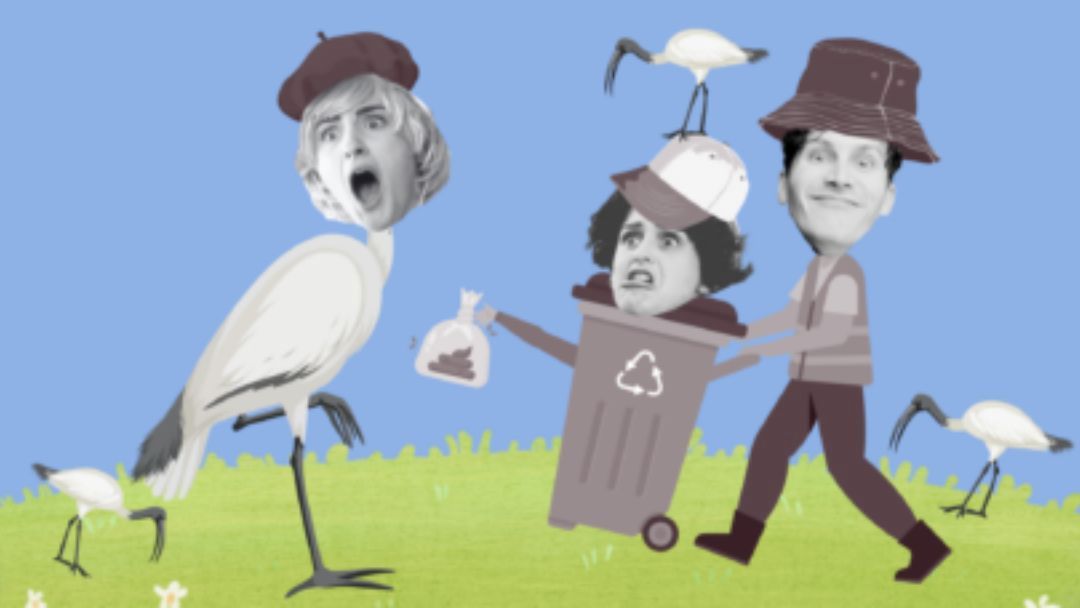 Charlie & the Bin Chicken