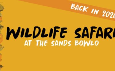 Wildlife Safari