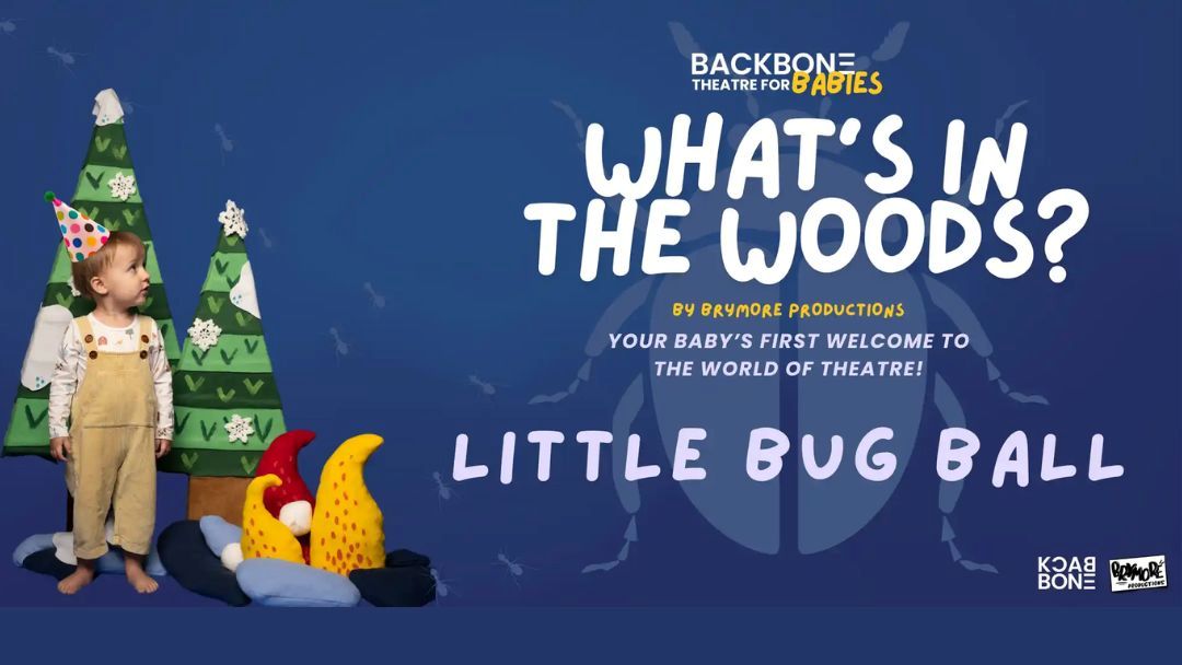 What's in the Woods? Little Bug Ball