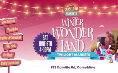 Winter Wonderland Twilight Markets