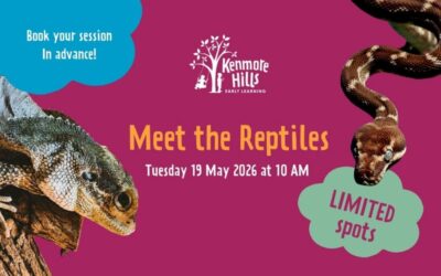 Meet the Reptiles