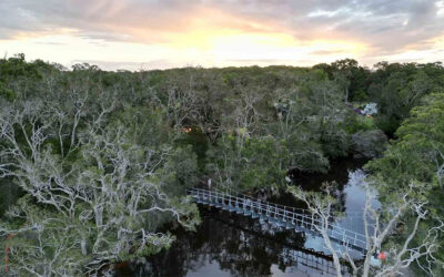 Best Sunshine Coast walks for kids: New lakeside walk everyone will love