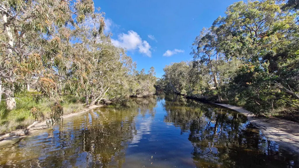 Best-sunshine-coast-walks-lake-weyba4 | Kids in Brisbane, Gold Coast, Sunshine Coast | Kotc Immerse the Kids in Nature at the Freshly Upgraded Lake Weyba Walk, Sunshine Coast