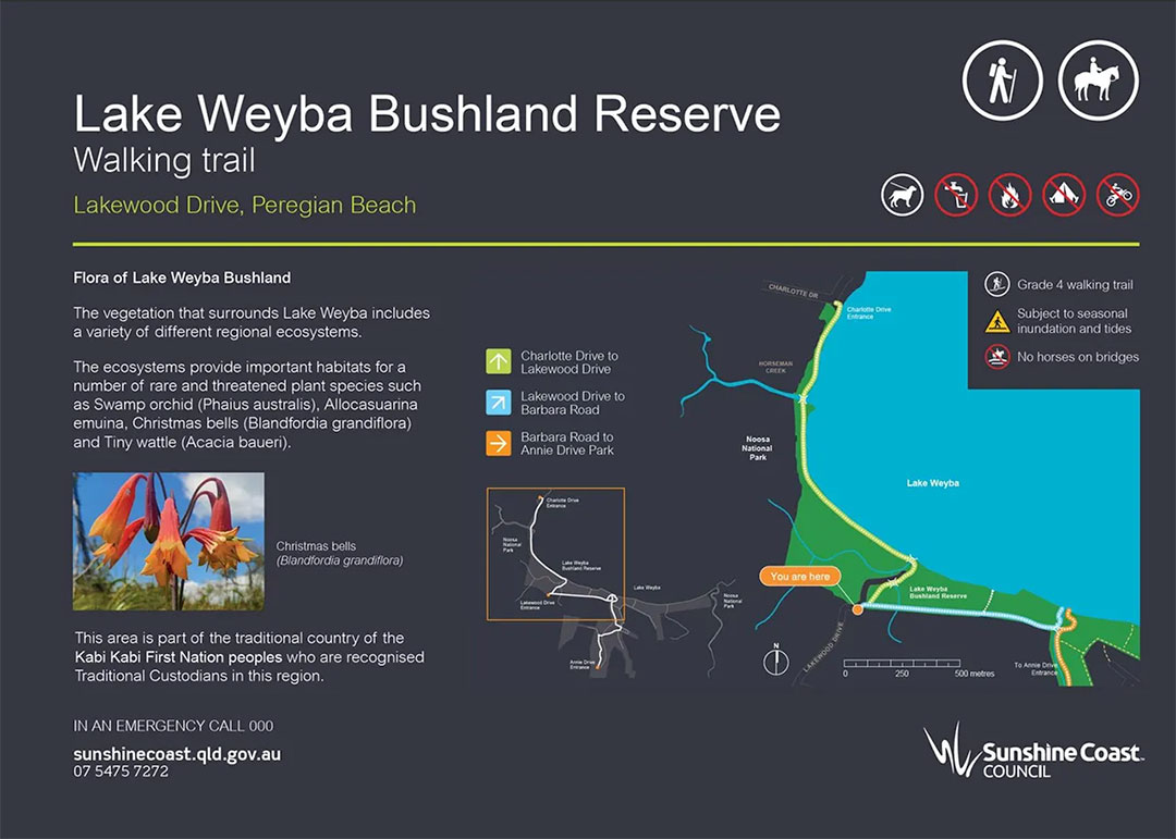 Best-sunshine-coast-walks-lake-weyba8 | Kids in Brisbane, Gold Coast, Sunshine Coast | Kotc Lake Weyba Bushland Reserve Map
