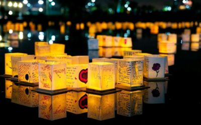 Brisbane Water Lantern Festival