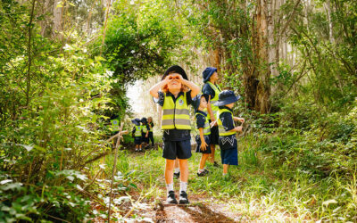 Nurturing Hearts and Wild Imaginations: Inside the Unique World of CCPS Little Learners