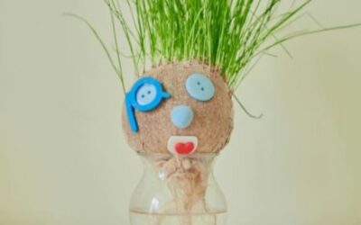 Kids Workshop: Grass Heads