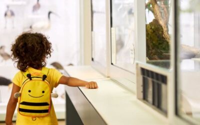 Kurilpa Kids Discovery Tour