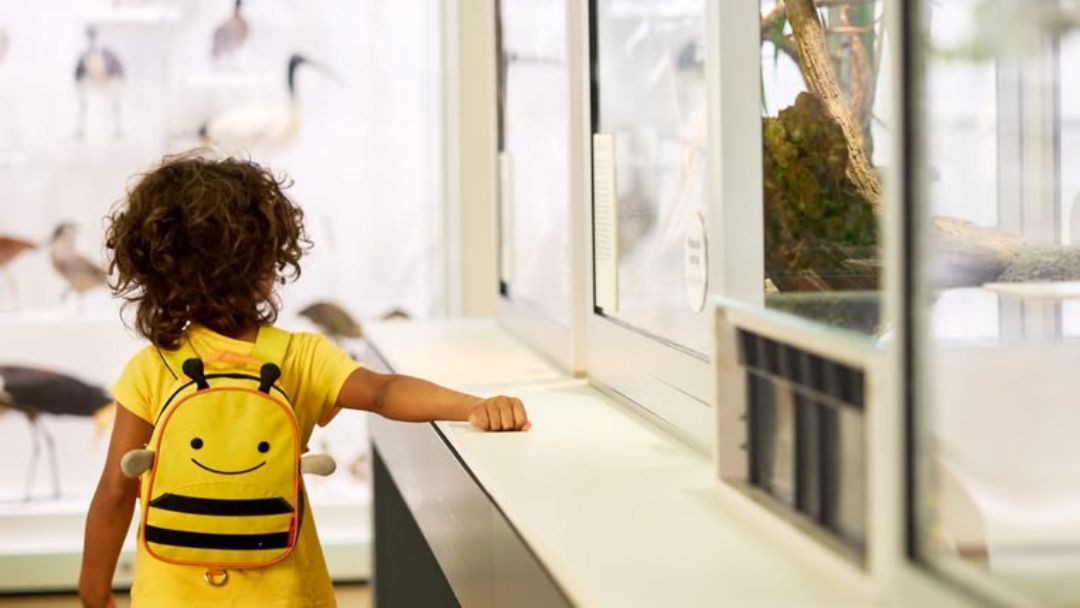 Kurilpa Kids Discovery Tour