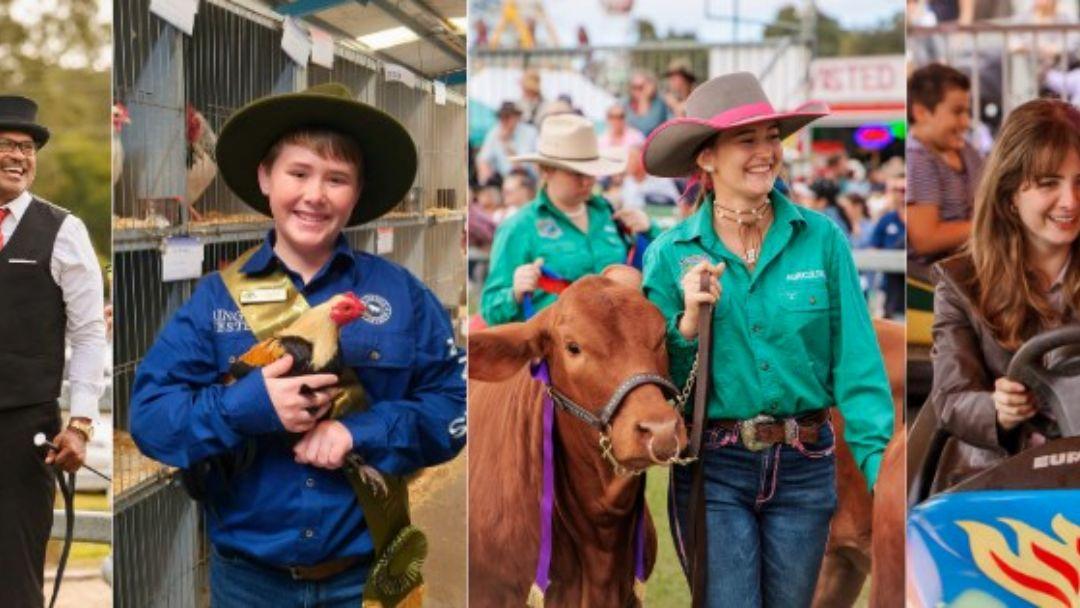 Collage of four fair attendees: a man in a vest, a boy holding a chicken, a woman leading a cow, and a woman driving a vehicle at a livestock show.