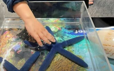 NaturallyGC Winter School Holiday Program