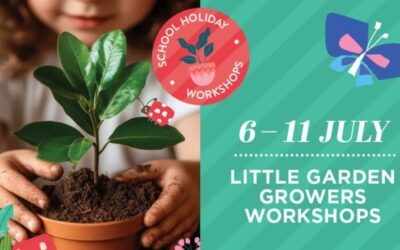 Little Garden Growers