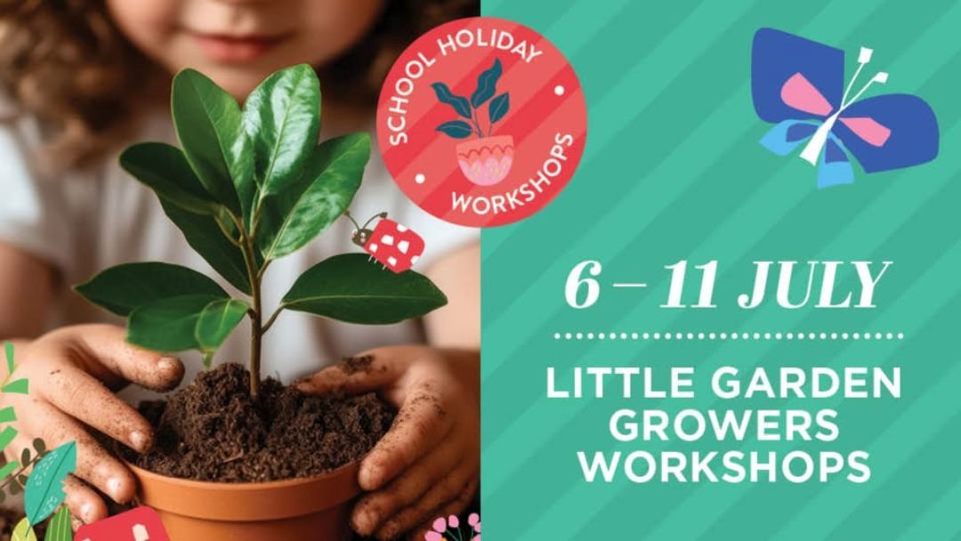 Little Garden Growers
