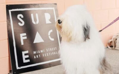 Surface Festival