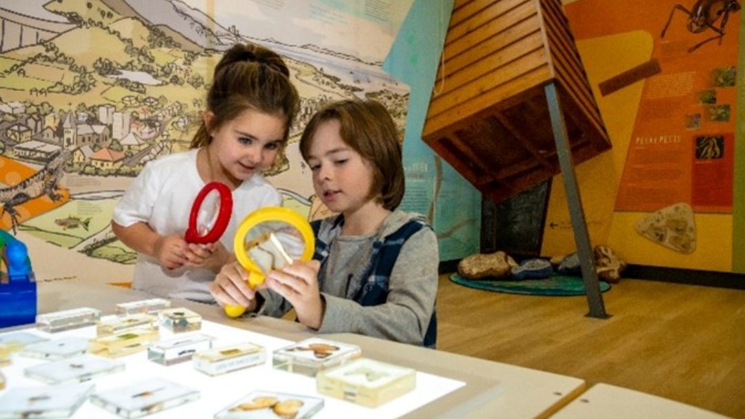 Ipswich School Holiday Activities