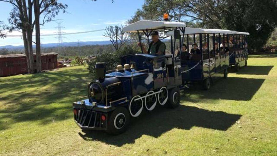Small Blue Train on a Grassy Field with Open Passenger Cars Carrying People, Pulled by a Locomotive Under a Sunny Sky.