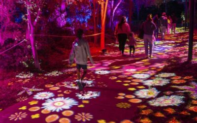 Beyond: Immersive Light Trail