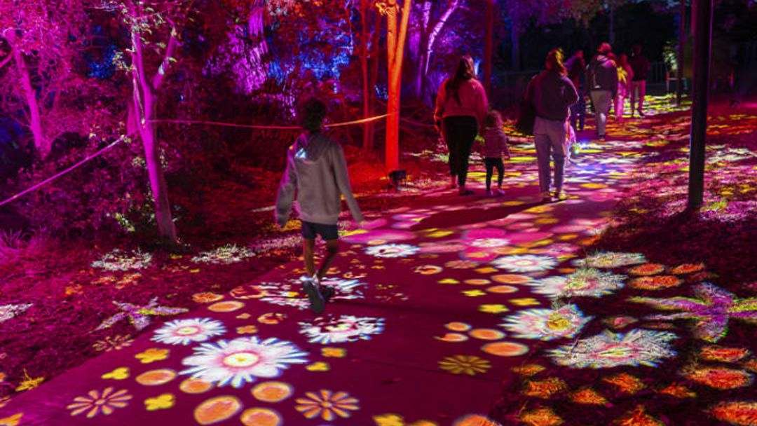 Beyond: Immersive Light Trail