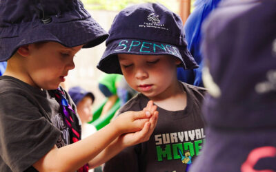 The Sunshine Coast early learning centre where nature leads the learning