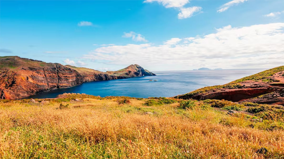Coastal Landscape with Rocky Cliffs, Golden Grasses in the Foreground, and Calm Blue Sea Under a Bright Sky to the Horizon in Tasmania