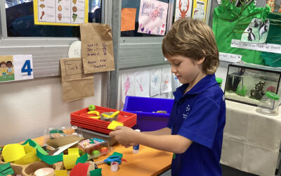 How Sunshine Beach State School is redefining the Prep experience