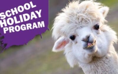 City of Moreton Bay Libraries School Holiday Program