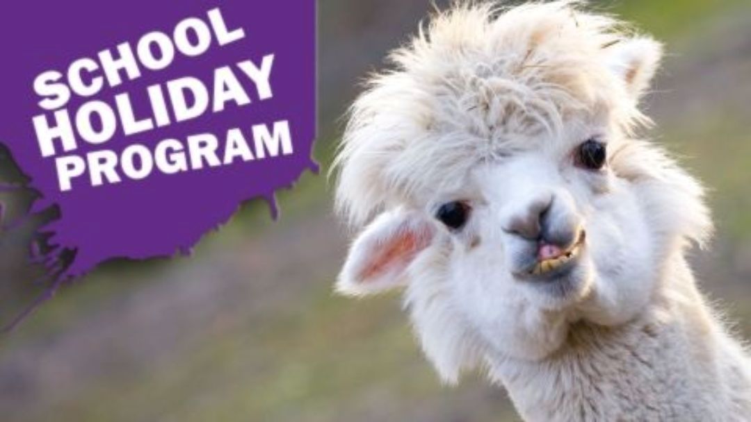 City of Moreton Bay Libraries School Holiday Program