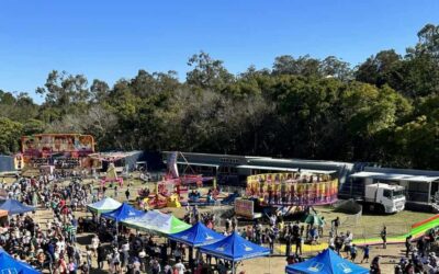 Indigo Fair