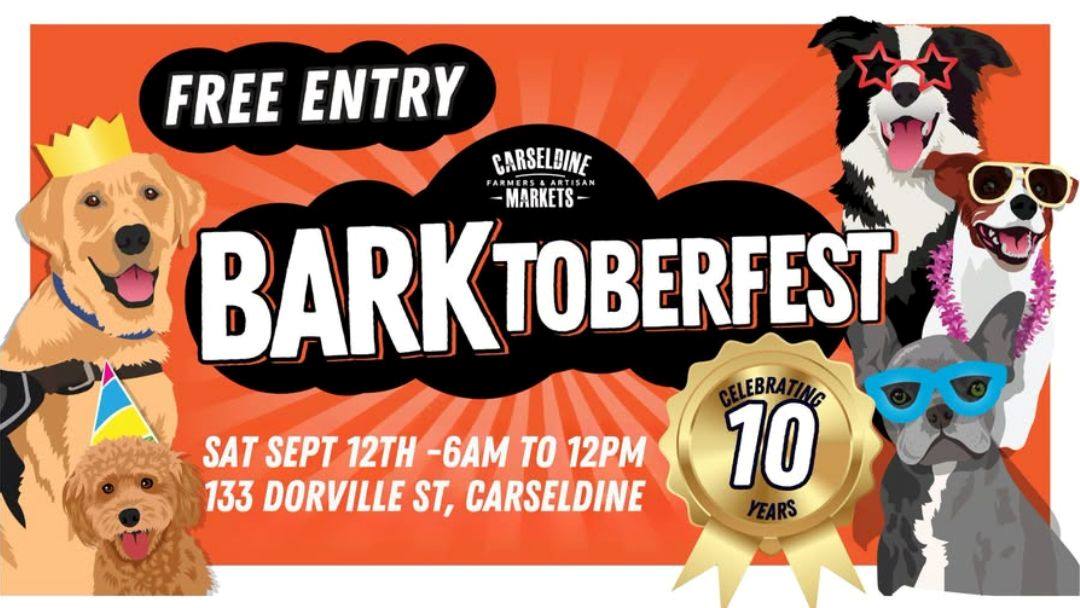 0728_barktoberfest_hero | Kids in Brisbane, Gold Coast, Sunshine Coast | Kotc Barktoberfest
