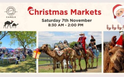 Christmas Markets at Summer Land Camels