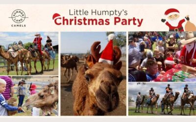 Little Humpty’s Christmas Party