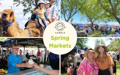 Summer Land Camels Spring Markets