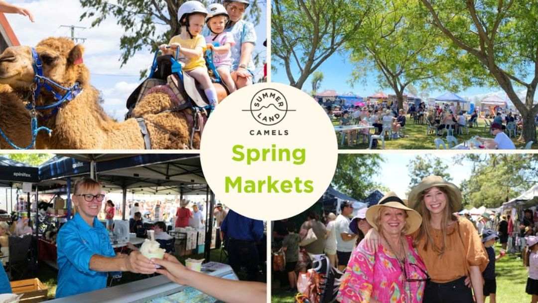 Summer Land Camels Spring Markets