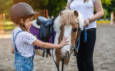 Horse riding for kids on the Gold Coast: A fun, confidence-building experience for the whole family