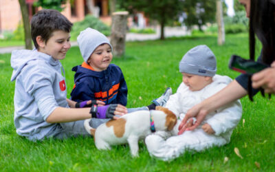 Is Your Family Ready for a Puppy? 10 Questions to Ask Before You Buy