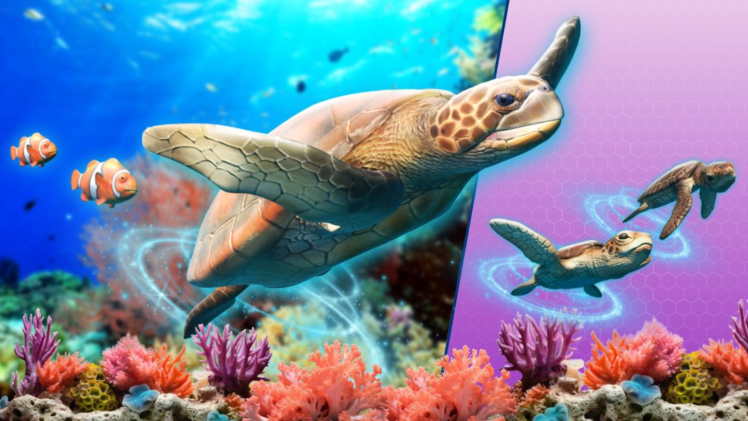 Website Hero Tile Template - 2026-07-02t164233348 | Kids in Brisbane, Gold Coast, Sunshine Coast | Kotc Turtle Gliding Above a Colorful Coral Reef, with Clownfish Nearby, Across a Split Purple-water Panel Showing Two Turtles and Glowing Rings in the Background.