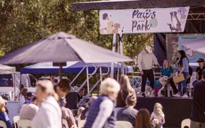 Paws at the Park
