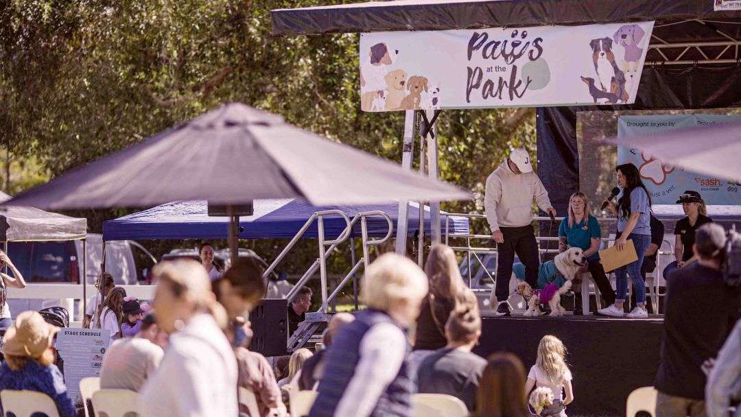 Paws at the Park
