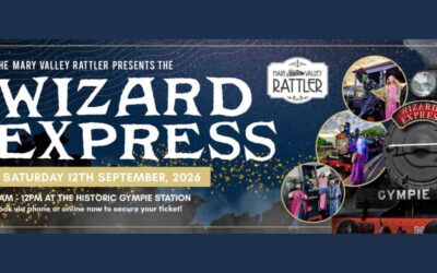 Wizard Express
