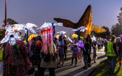 Across the Region: Hervey Bay Whale Festival