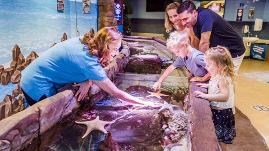 0820_sealifesunshinecoast_schoolholidays2 | Kids in Brisbane, Gold Coast, Sunshine Coast | Kotc Sea Life Sunshine Coast Sea Creature Rescue Mission