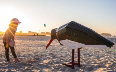 SWELL Sculpture Festival