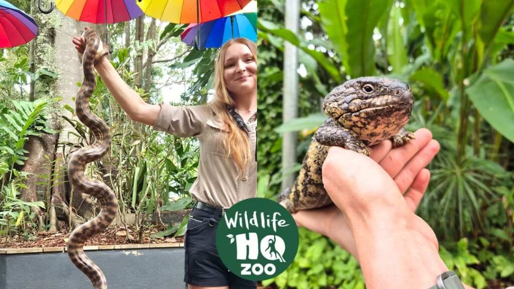 Spring School Holiday Fun at the Ginger Factory