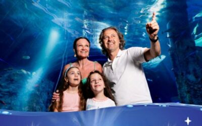 Treat Dad for $1 at SEA Life Sunshine Coast
